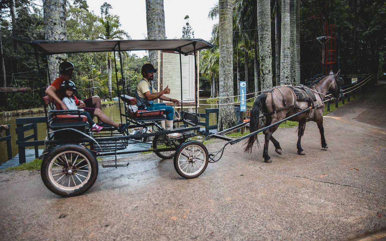 Hotel Fazenda Campo Dos Sonhos Socorro  Luaran gambar