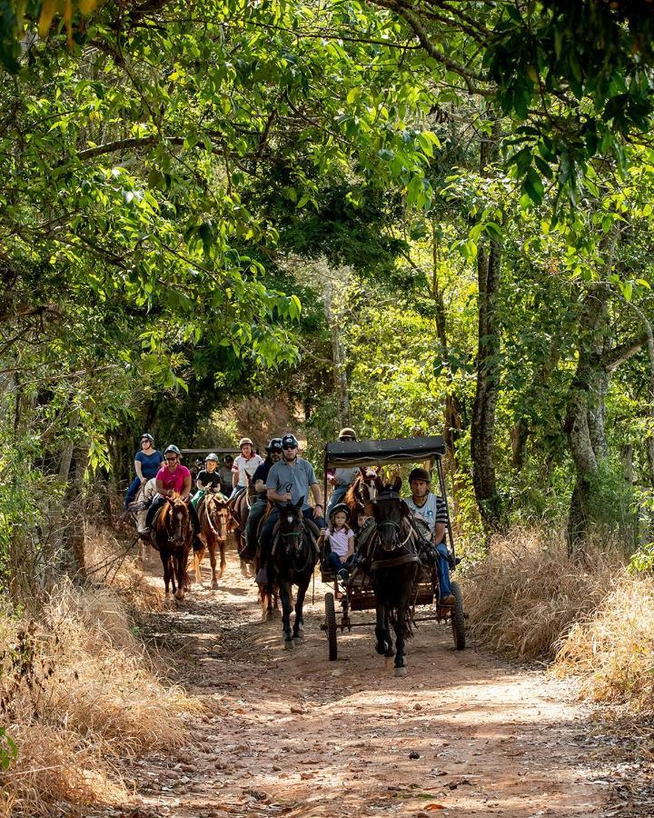 Hotel Fazenda Campo Dos Sonhos Socorro  Luaran gambar